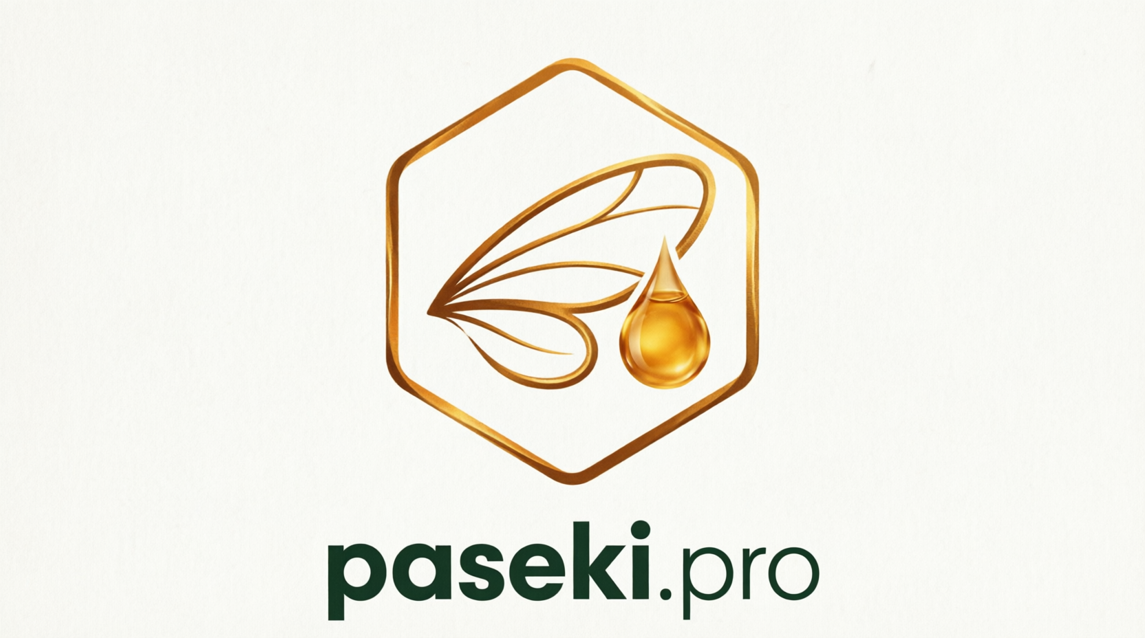 paseki.pro